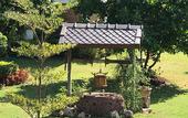 Туры в отель Papai Country Lodge