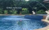 Туры в отель Papai Country Lodge