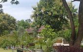 Туры в отель Papai Country Lodge