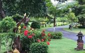Туры в отель Papai Country Lodge