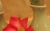 Туры в отель MUKDARA BEACH VILLA & SPA RESORT