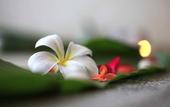 Туры в отель MUKDARA BEACH VILLA & SPA RESORT