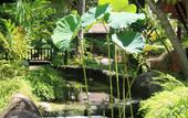 Туры в отель MUKDARA BEACH VILLA & SPA RESORT