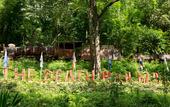 Туры в отель Home Phutoey River Kwai Hotspring & Nature Resort