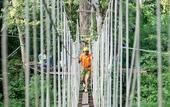Туры в отель Home Phutoey River Kwai Hotspring & Nature Resort