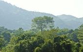 Туры в отель Home Phutoey River Kwai Hotspring & Nature Resort