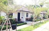 Туры в отель Chiang Rai Greenpark Resort
