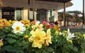Туры в отель Chiang Rai Greenpark Resort
