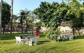 Туры в отель Chiang Rai Greenpark Resort