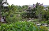 Туры в отель PuraVida Pai Resort