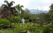Туры в отель PuraVida Pai Resort