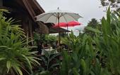 Туры в отель PuraVida Pai Resort