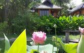 Туры в отель PuraVida Pai Resort