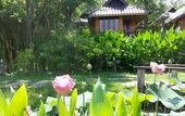 Туры в отель PuraVida Pai Resort