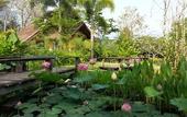 Туры в отель PuraVida Pai Resort