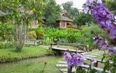 Туры в отель PuraVida Pai Resort