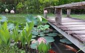 Туры в отель PuraVida Pai Resort