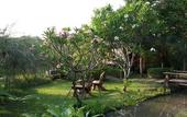 Туры в отель PuraVida Pai Resort