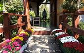 Туры в отель PuraVida Pai Resort