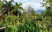 Туры в отель PuraVida Pai Resort