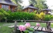 Туры в отель PuraVida Pai Resort