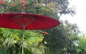 Туры в отель PuraVida Pai Resort