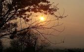Туры в отель PuraVida Pai Resort