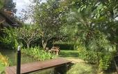 Туры в отель PuraVida Pai Resort