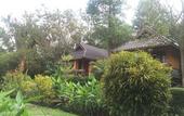 Туры в отель PuraVida Pai Resort