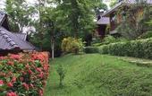 Туры в отель PuraVida Pai Resort