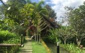 Туры в отель PuraVida Pai Resort