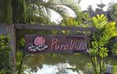 Туры в отель PuraVida Pai Resort