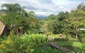 Туры в отель PuraVida Pai Resort