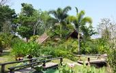 Туры в отель PuraVida Pai Resort