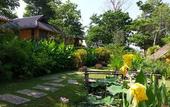 Туры в отель PuraVida Pai Resort