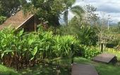 Туры в отель PuraVida Pai Resort