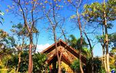 Туры в отель PuraVida Pai Resort