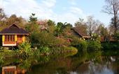 Туры в отель PuraVida Pai Resort