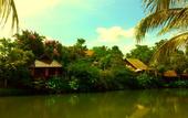 Туры в отель PuraVida Pai Resort