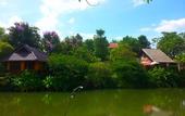 Туры в отель PuraVida Pai Resort