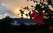 Туры в отель PuraVida Pai Resort