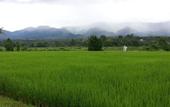Туры в отель PuraVida Pai Resort