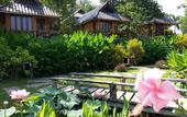 Туры в отель PuraVida Pai Resort