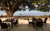 Туры в отель Reef Resort