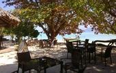 Туры в отель Reef Resort