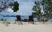 Туры в отель Reef Resort