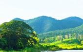 Туры в отель Him Naam Pai Resort