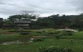 Туры в отель Kong Garden Resort