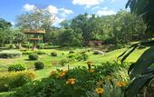 Туры в отель Kong Garden Resort