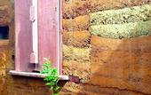 Туры в отель Pranberry Earth
